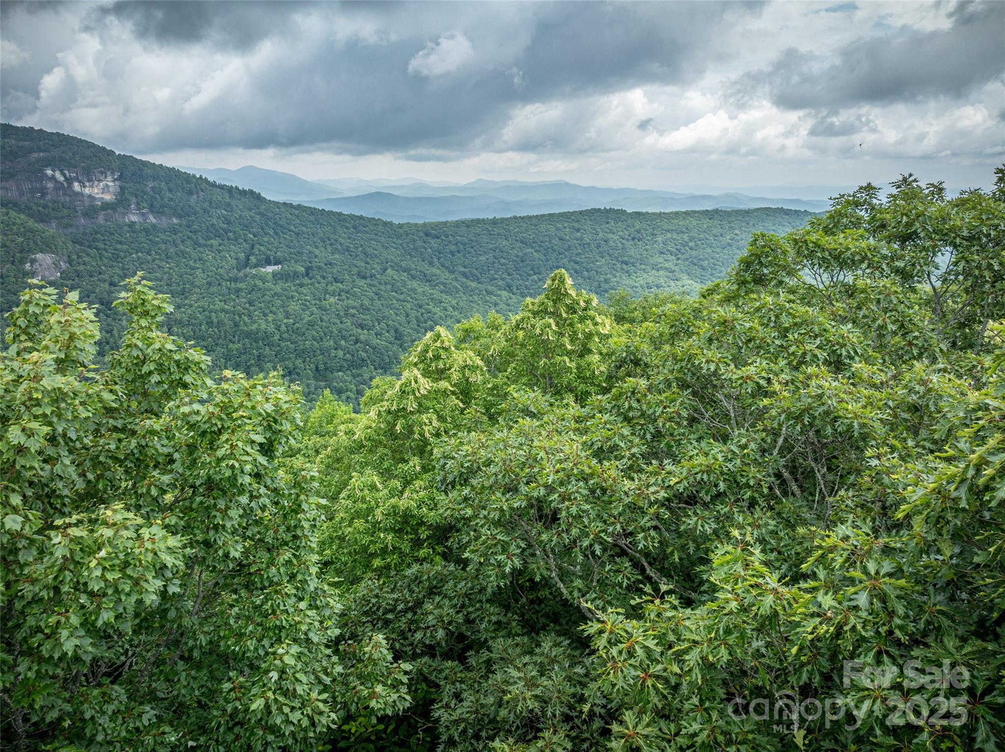 Lake Toxaway Estates - Land