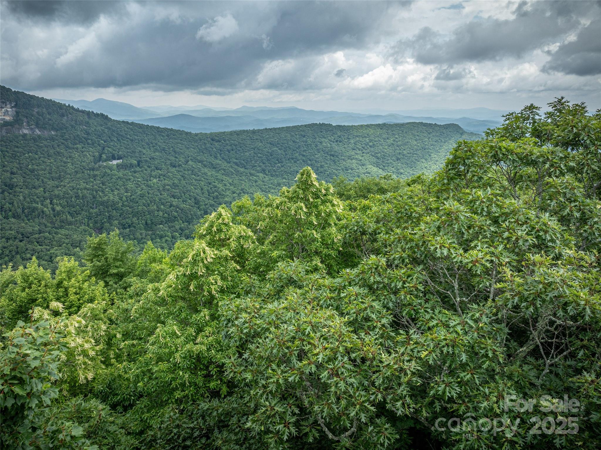 Lake Toxaway Estates - Land