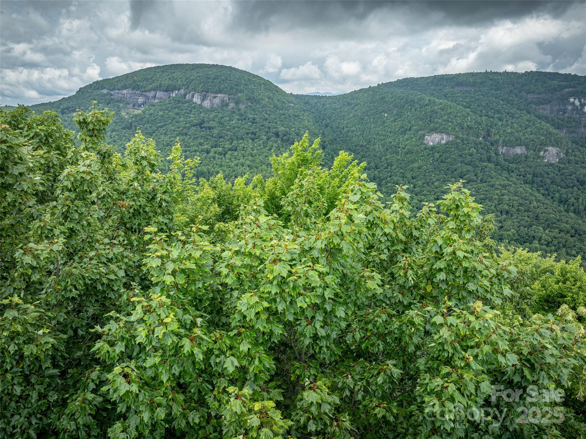 Lake Toxaway Estates - Land