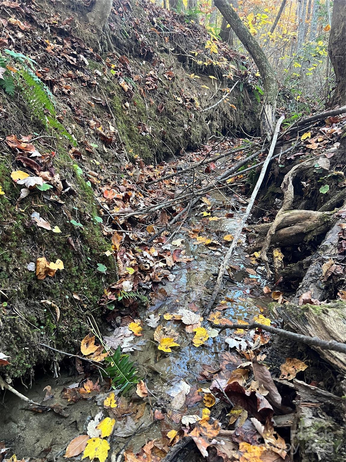 00 Black Oak Ridge Road