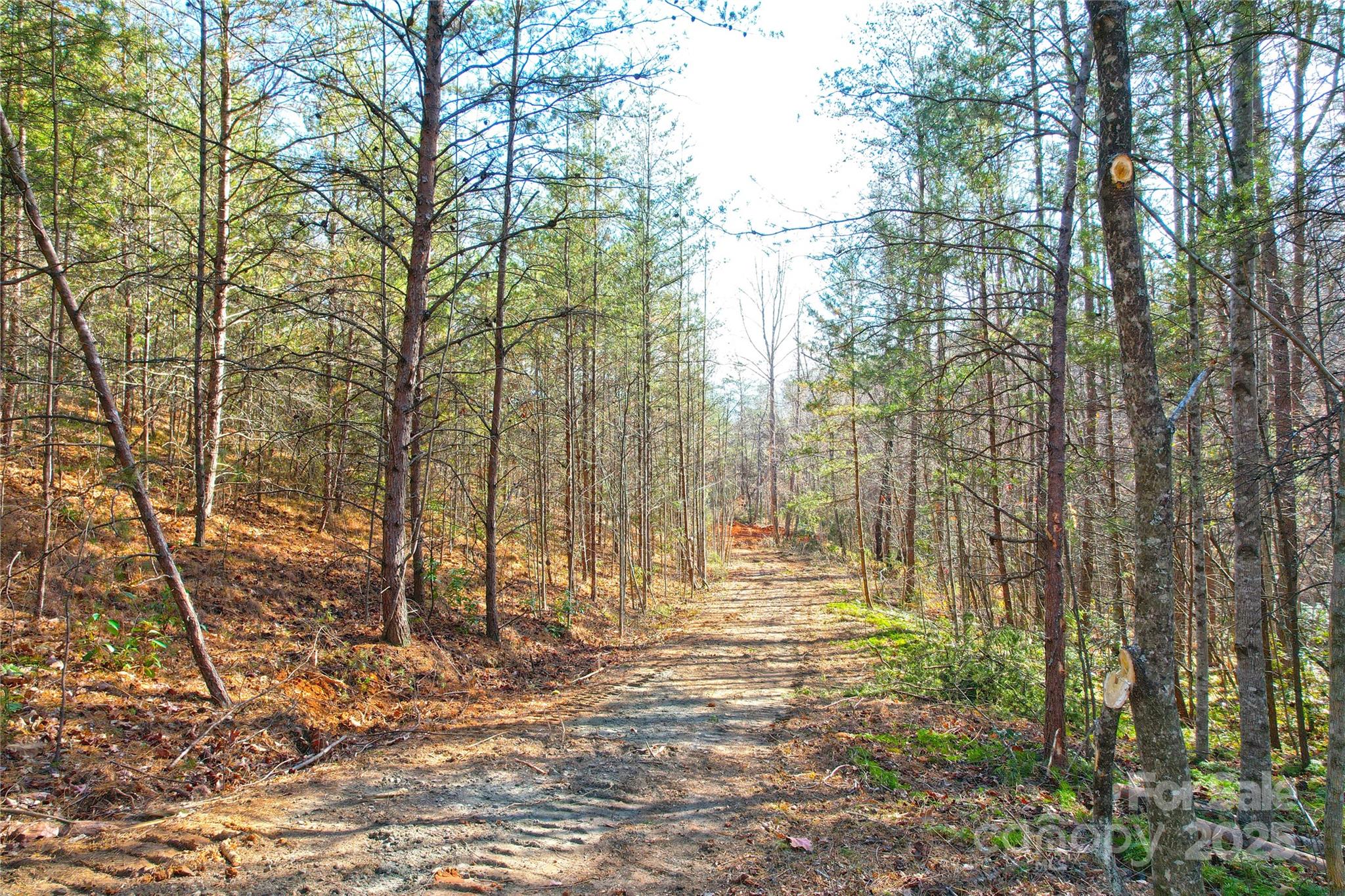 0 Brookside Parkway 43