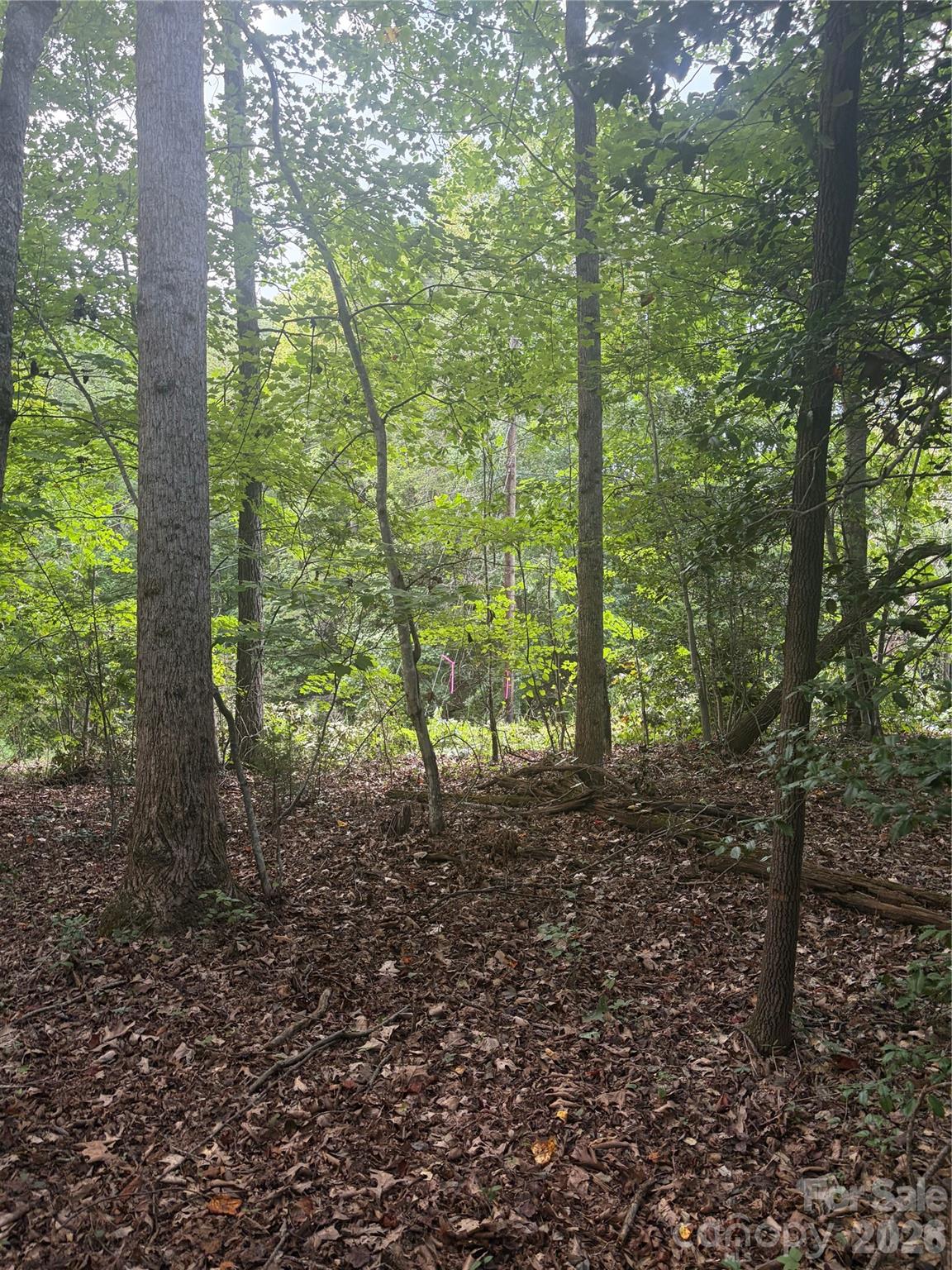Lot 4 Edgewood Road