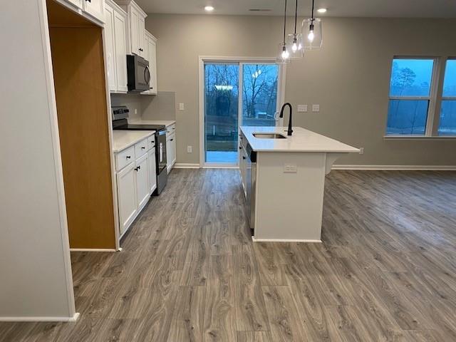 Forest Creek - Residential