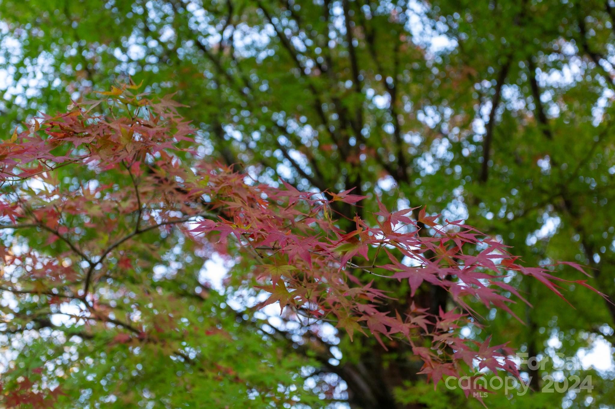 Grovemont - Residential