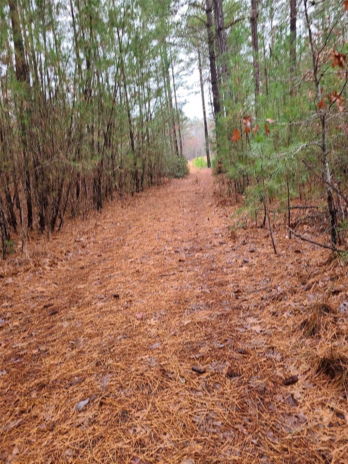 River Park at Lake Adger - Land