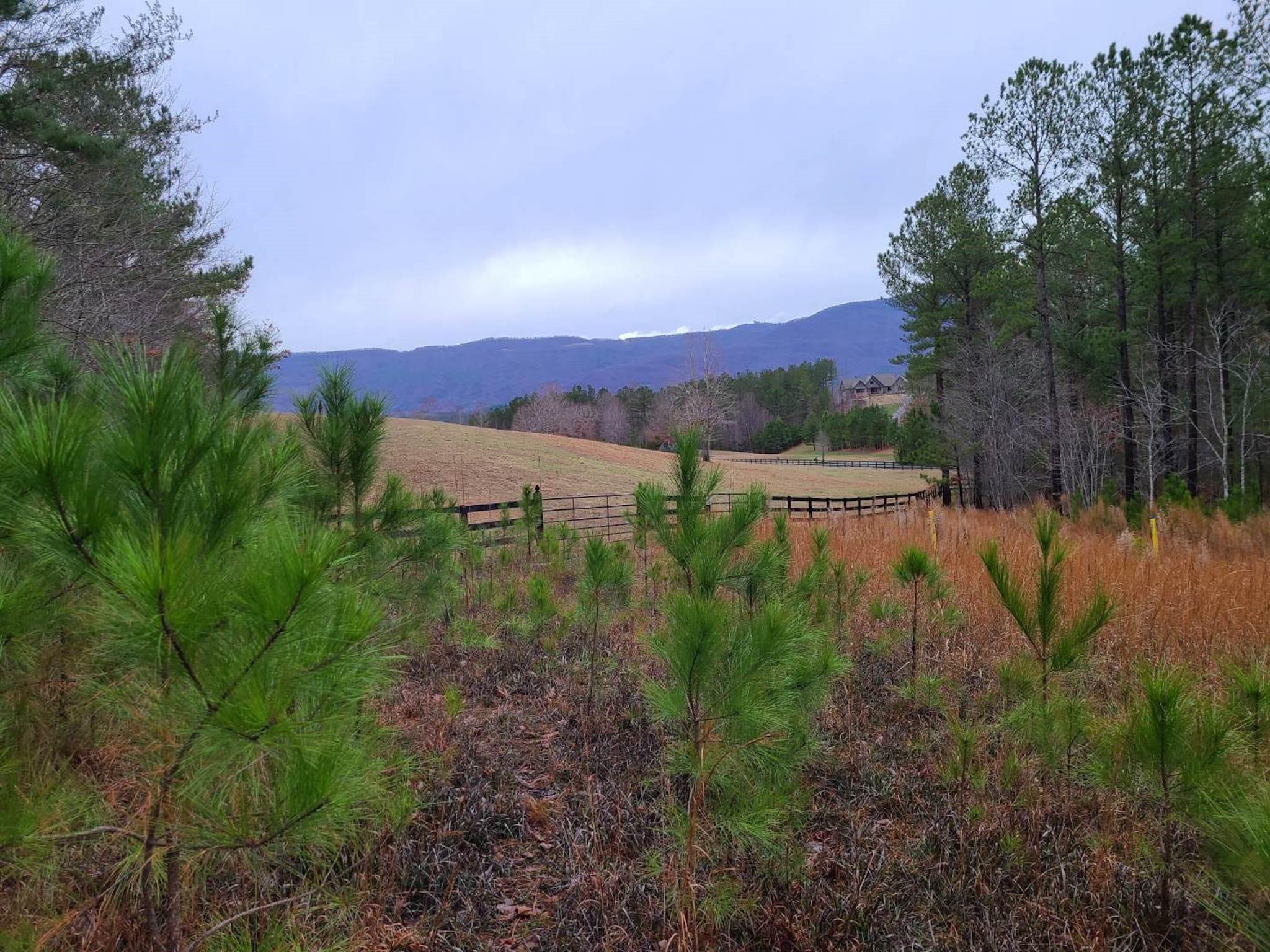 River Park at Lake Adger - Land