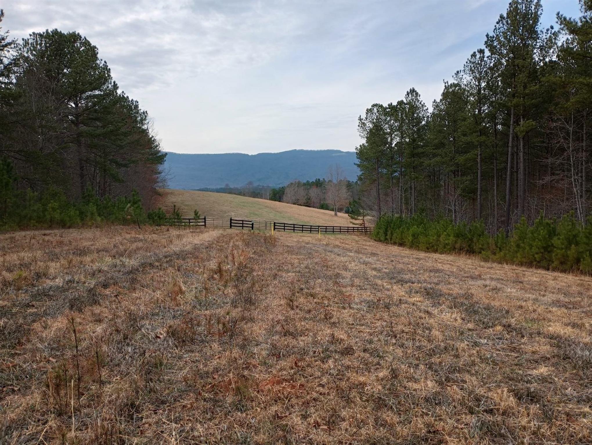 River Park at Lake Adger - Land