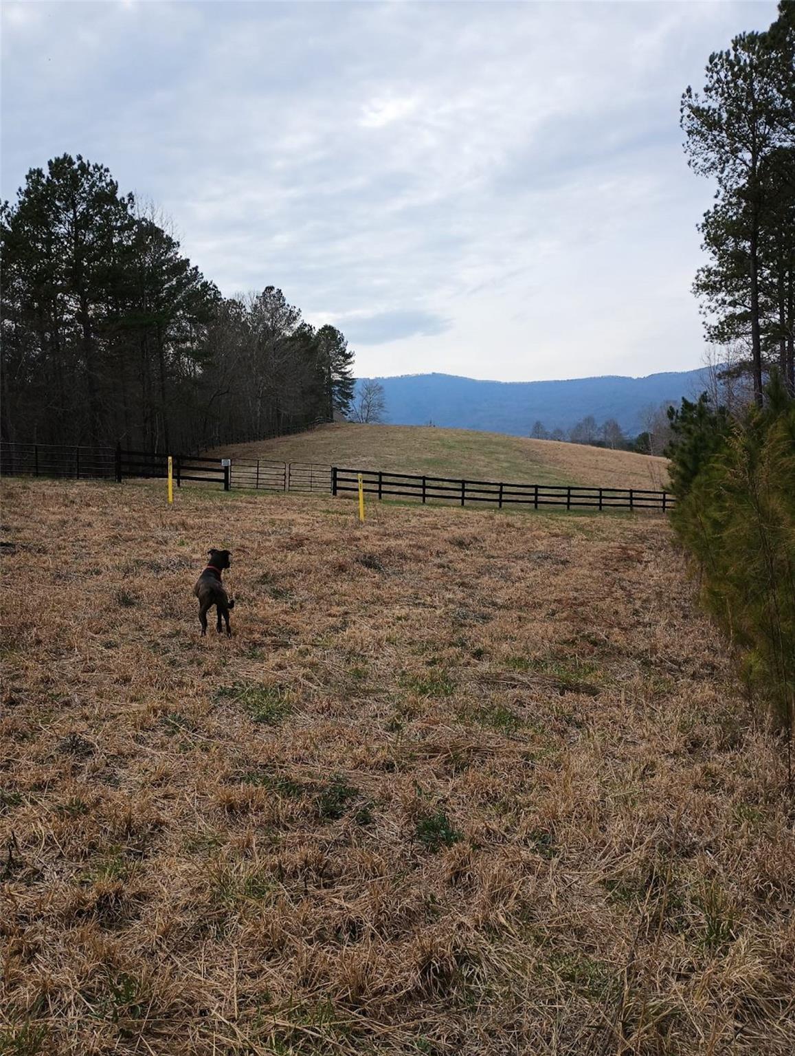 River Park at Lake Adger - Land