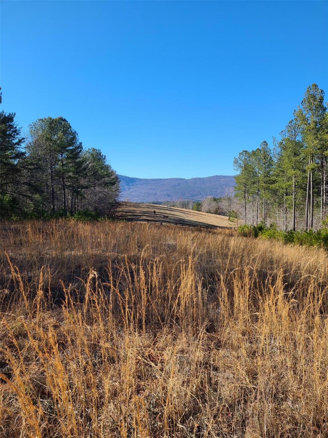 River Park at Lake Adger - Land