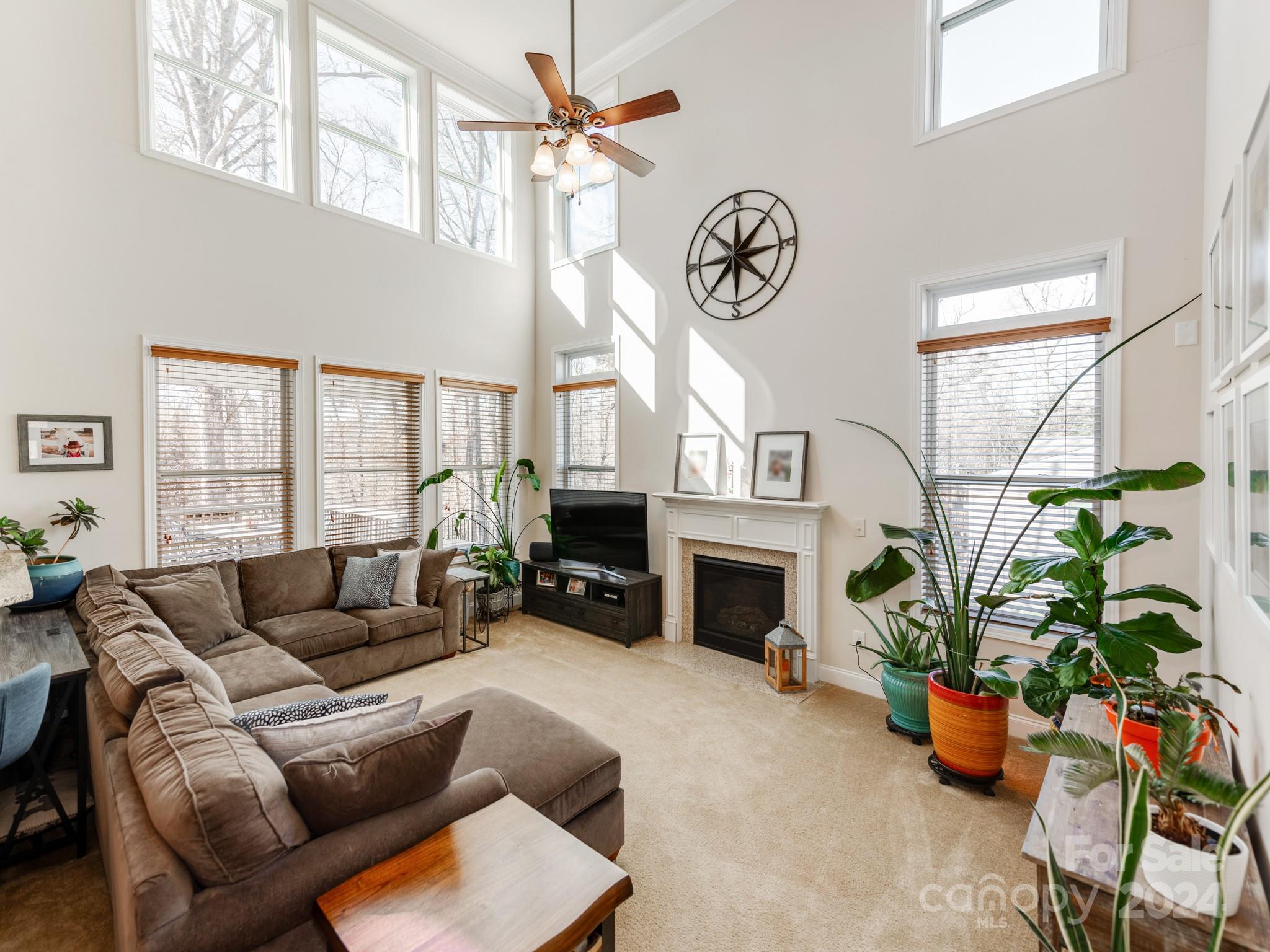 Rosedale - Residential