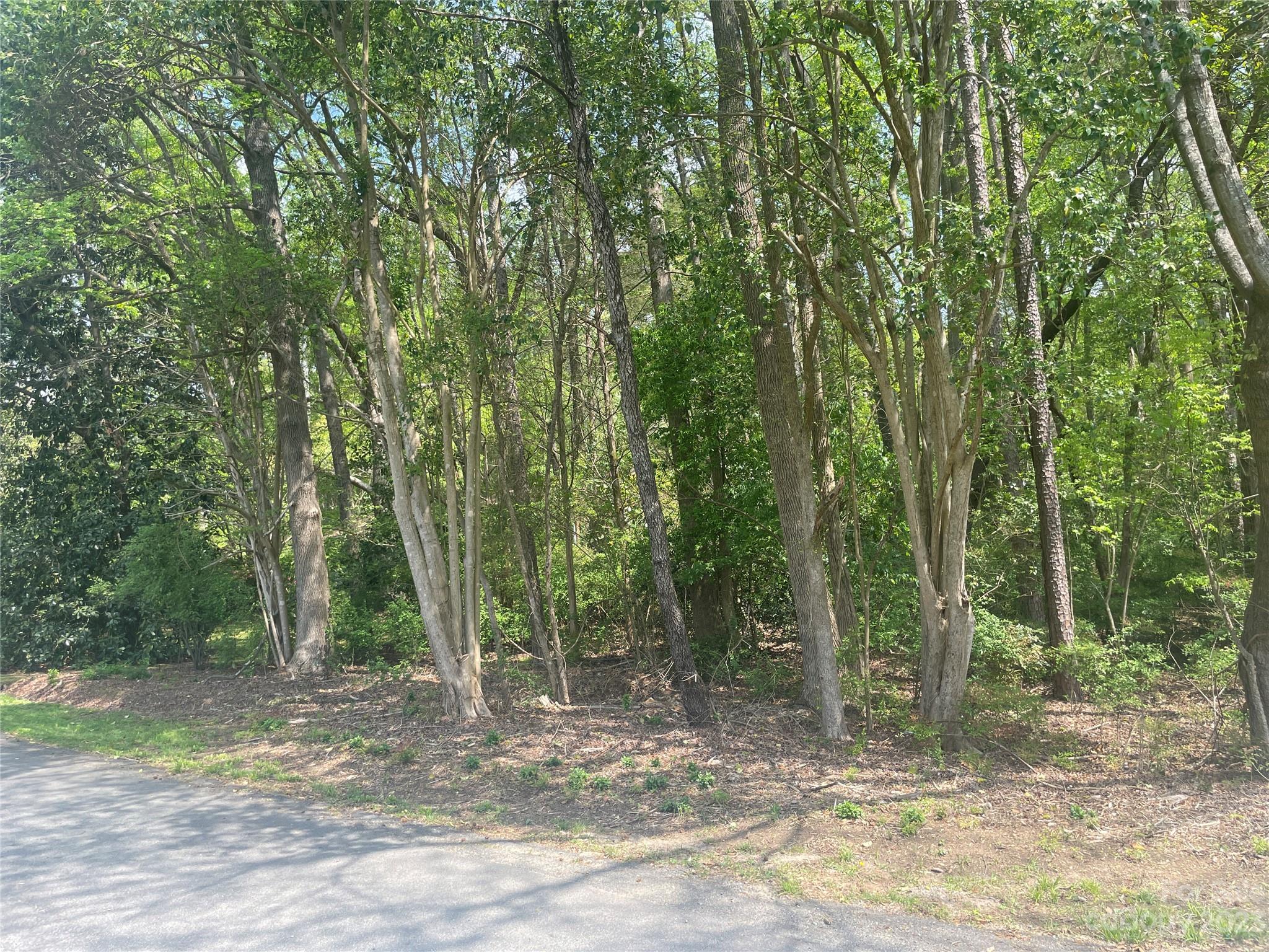 Monterey Hills - Land