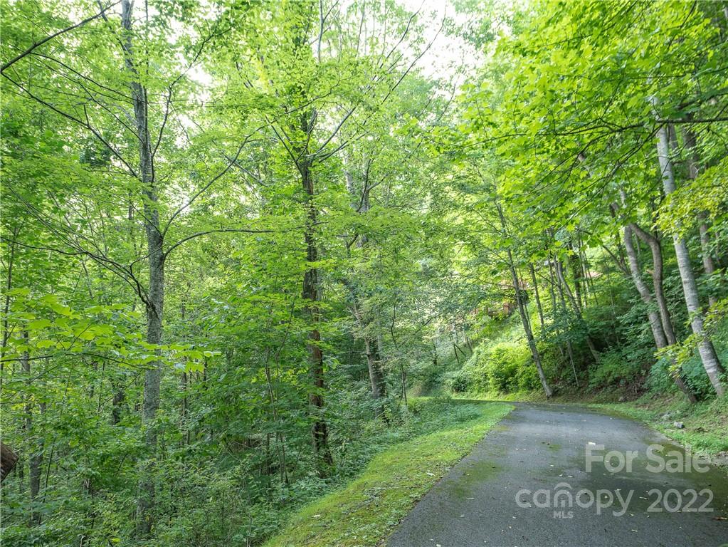 00 Ironwood Lane 12