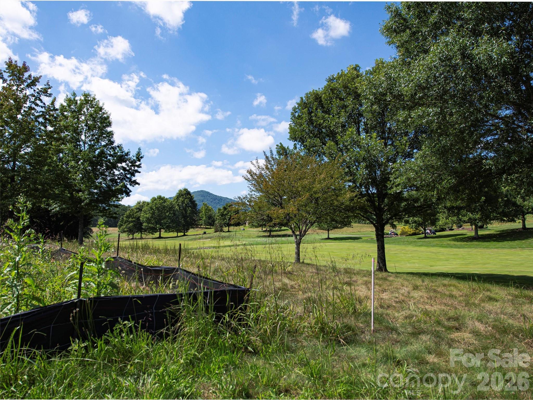 The Cliffs at Walnut Cove - Land