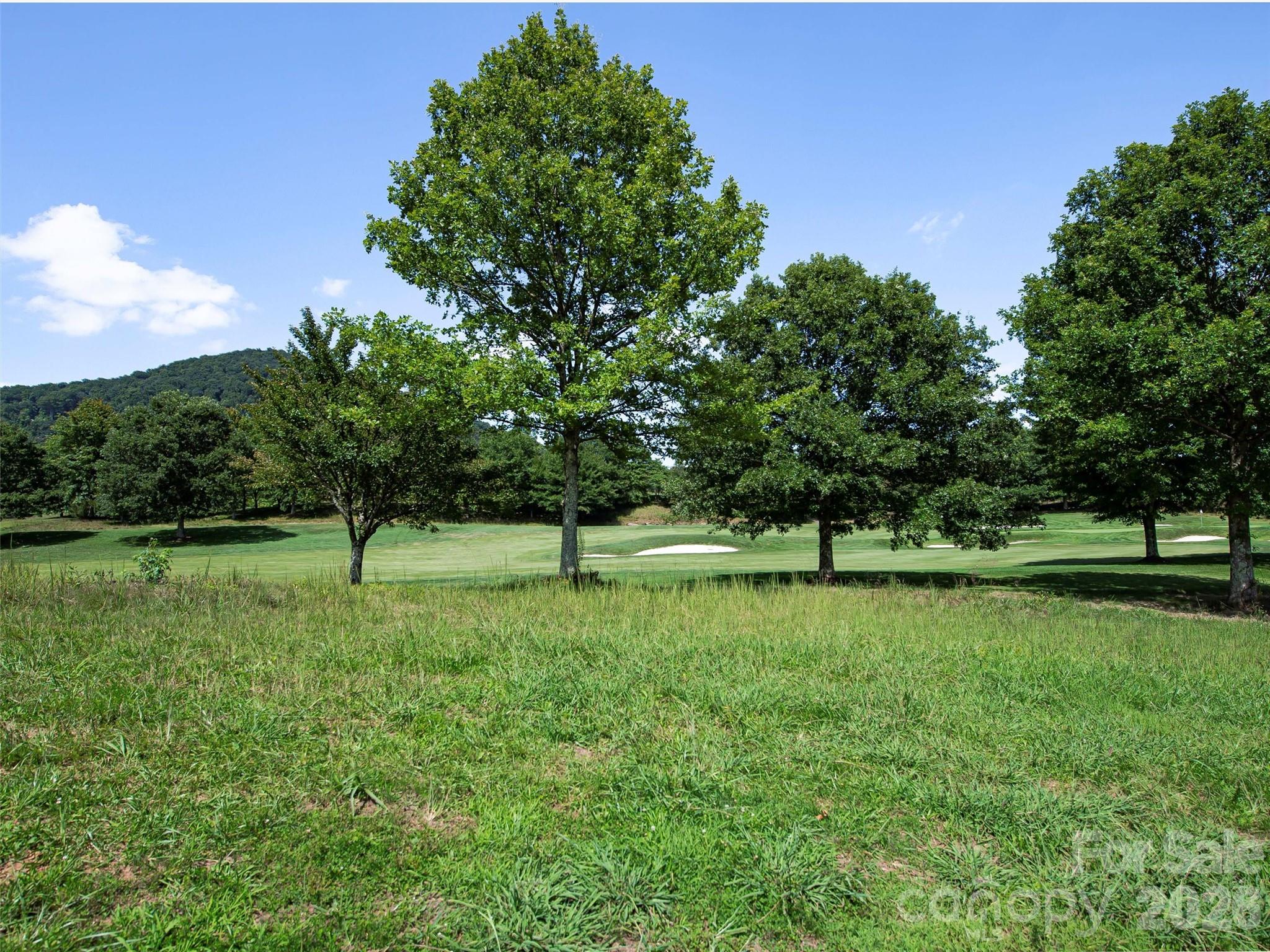 The Cliffs at Walnut Cove - Land