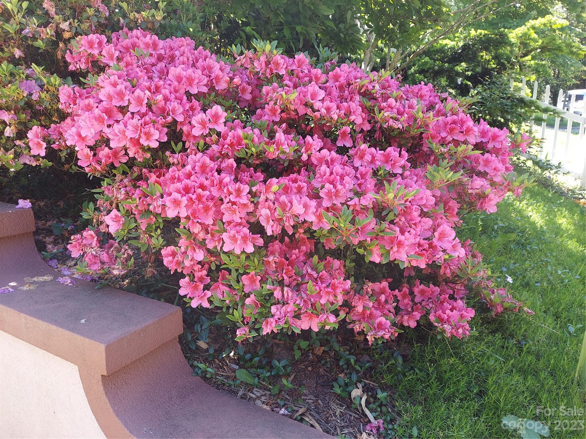 Twin Springs - Residential