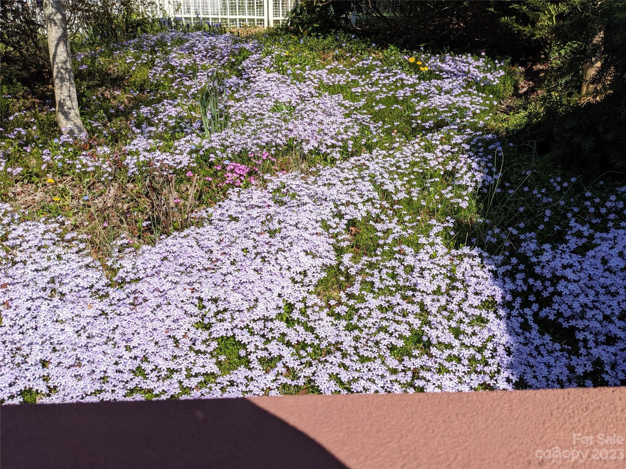 Twin Springs - Residential