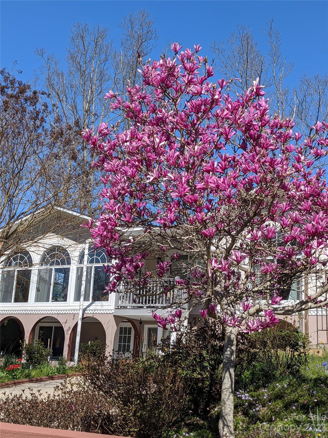 Twin Springs - Residential