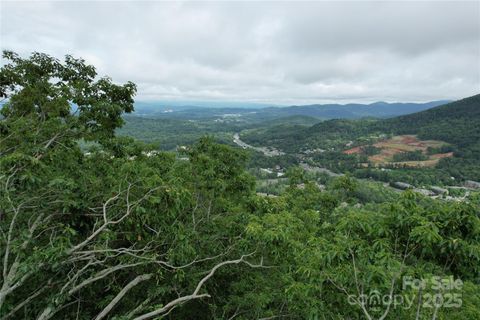 52 Castanea Mountain Drive Asheville NC 28803