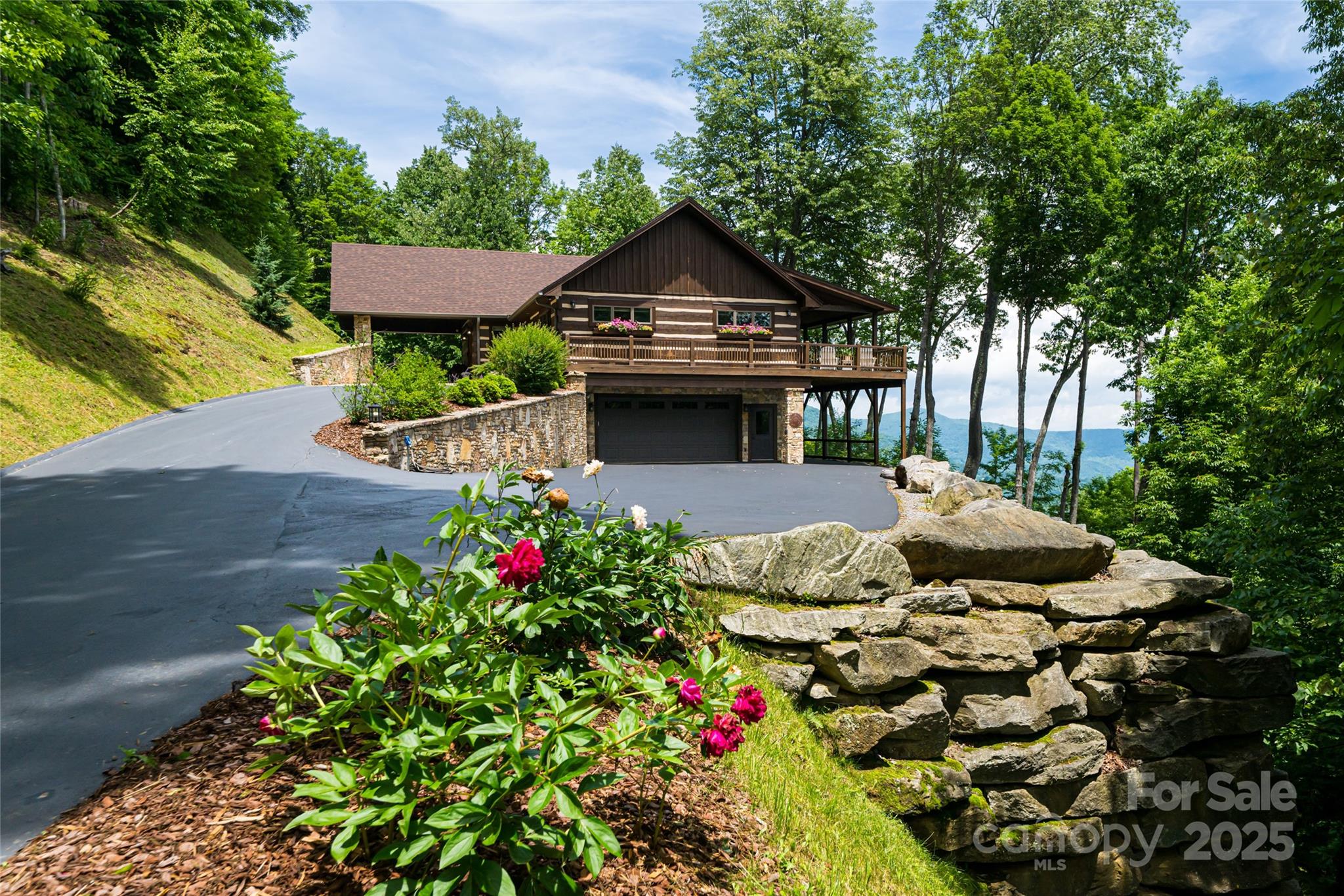 242 Anisidi Trail