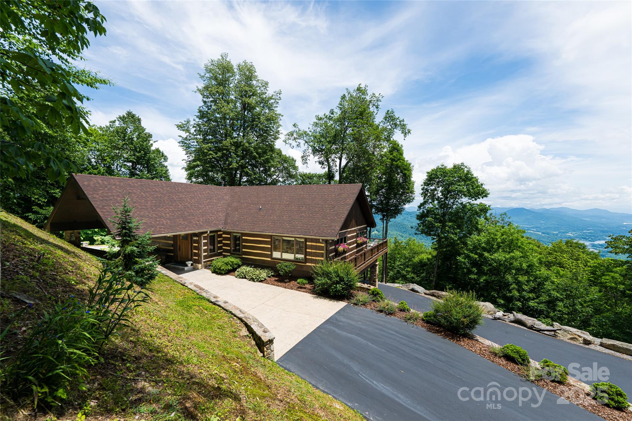 242 Anisidi Trail