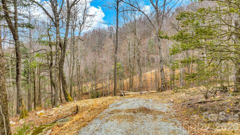 TBD Phillips Gap Road Purlear NC 28665