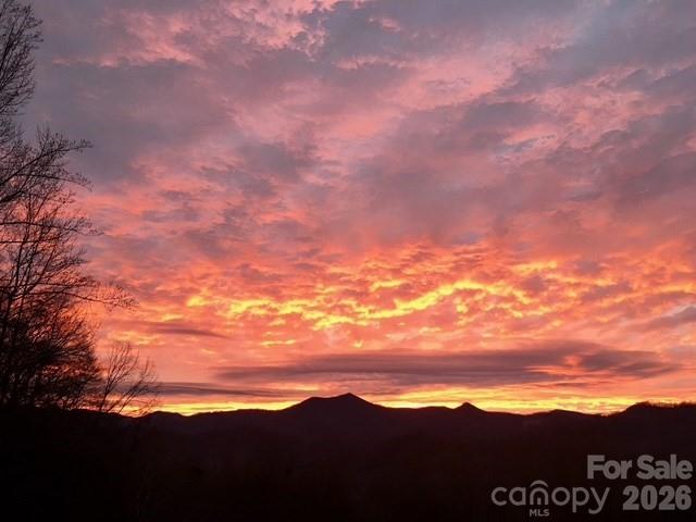 Marion Forest - Residential