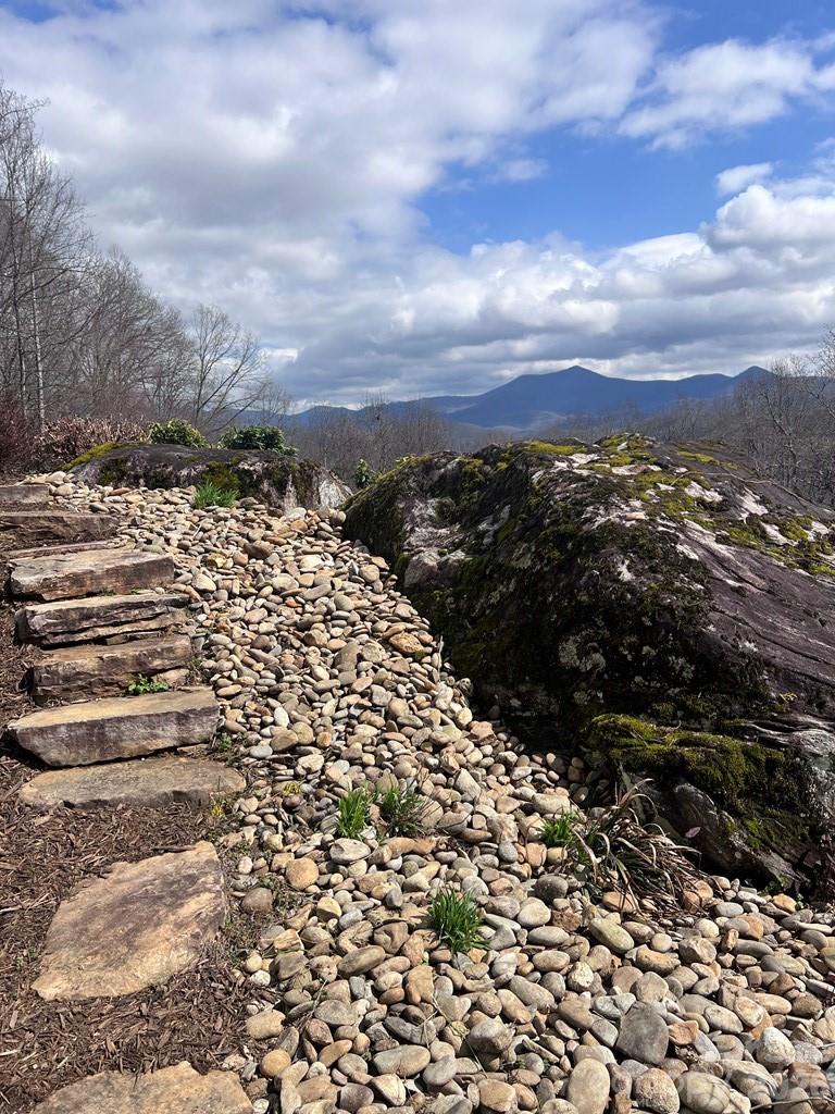 Marion Forest - Residential