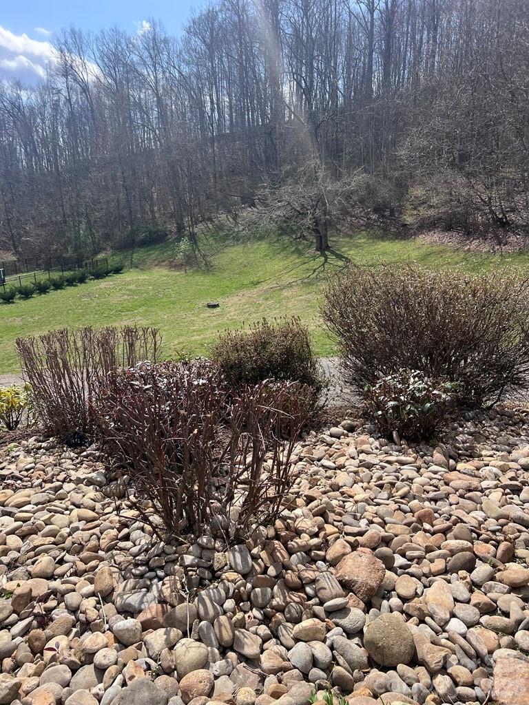 Marion Forest - Residential