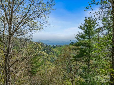99999 Waxwing Way 17 Asheville NC 28804