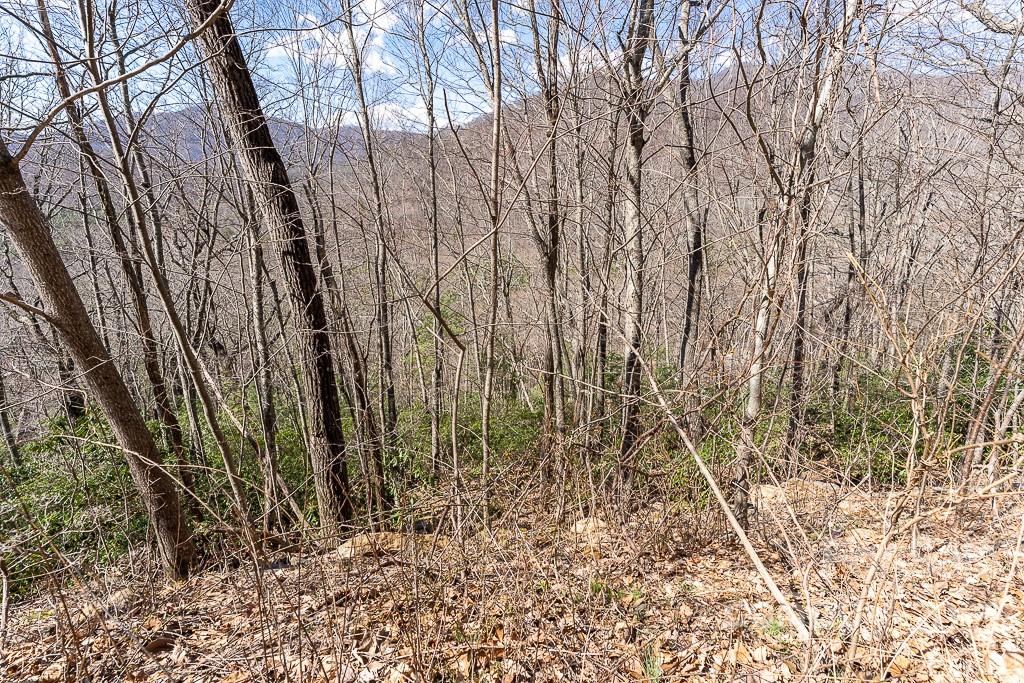 BARTLETT MOUNTAIN VIEWS - Land