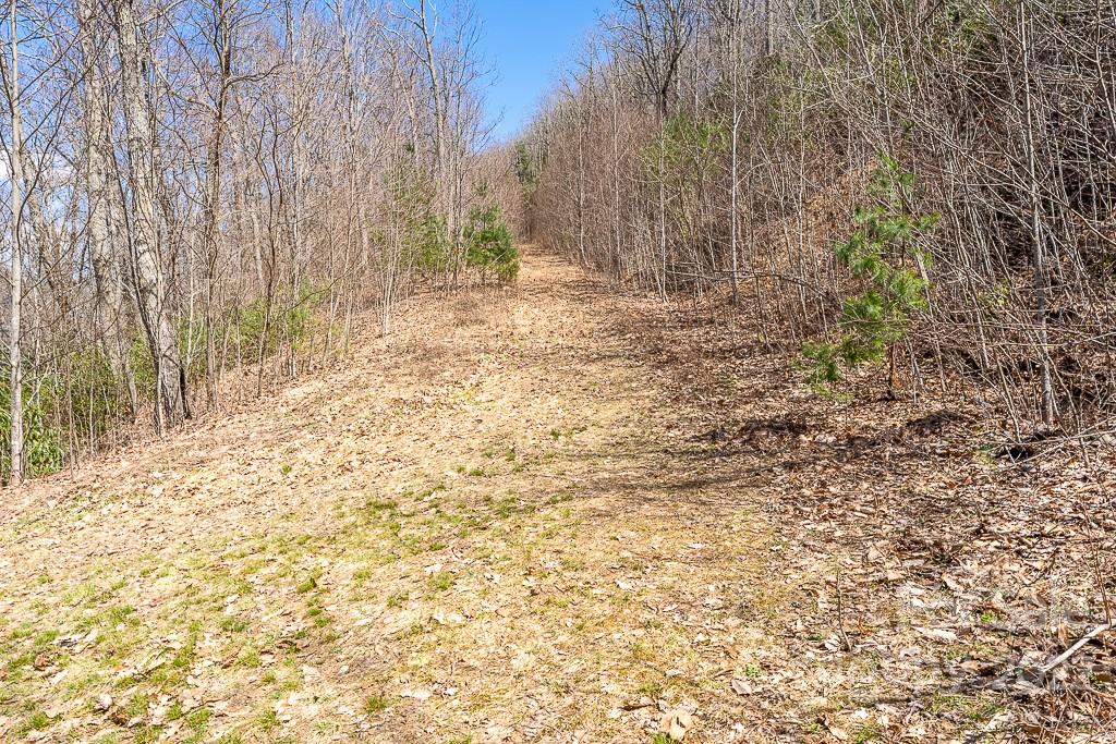 BARTLETT MOUNTAIN VIEWS - Land