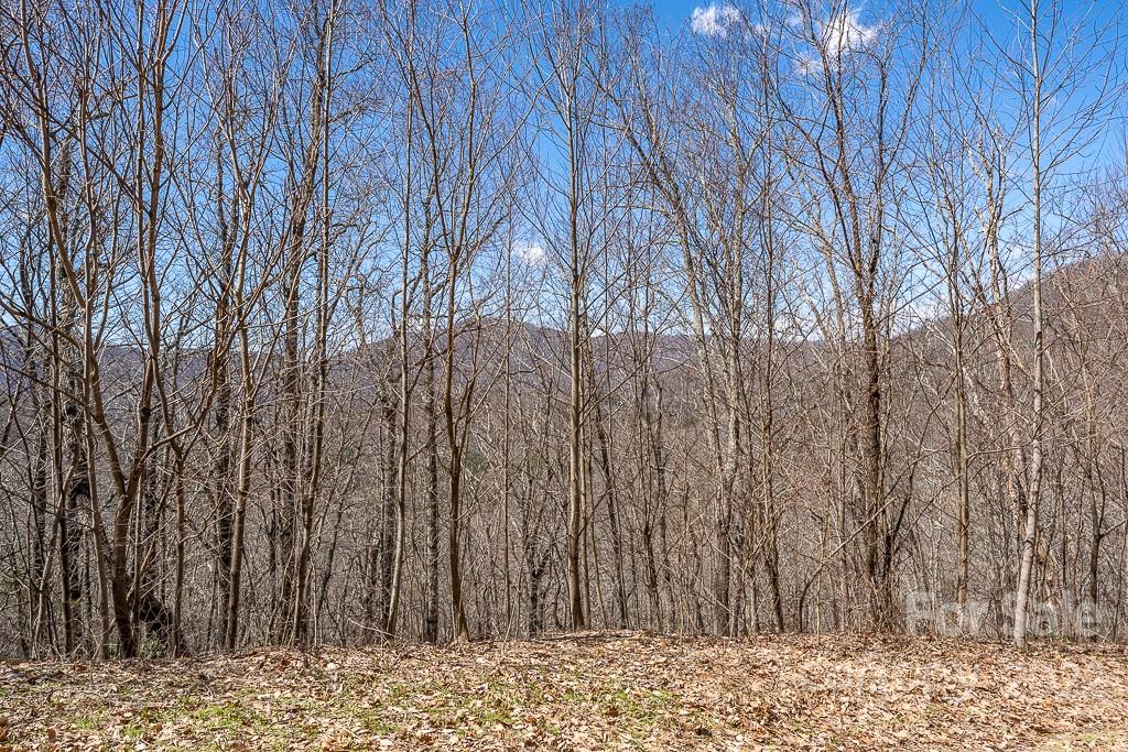 BARTLETT MOUNTAIN VIEWS - Land