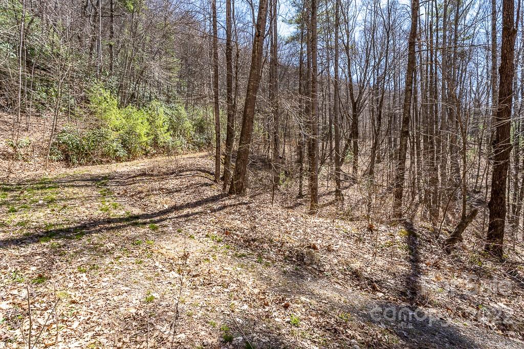 BARTLETT MOUNTAIN VIEWS - Land