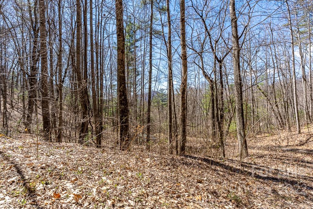 BARTLETT MOUNTAIN VIEWS - Land