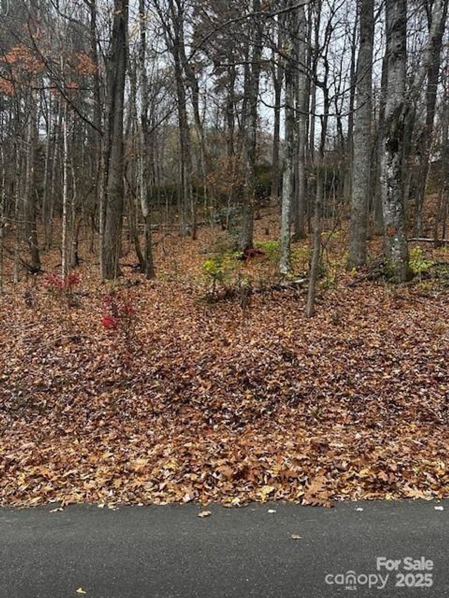 Located in the heart of Maggie Valley, this buildable lot offers year-round access with convenient proximity to Asheville, Cherokee, and the surrounding area. The property has a gently rolling topography, reducing grading needs for construction, and a valid two-bedroom septic permit is already on file. City water is available with the payment of the required tap fee, and a light homeowners association helps maintain the roads throughout the year. This setting provides a practical opportunity to establish a residence with infrastructure already in place.