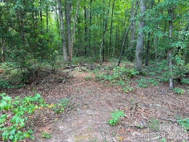 744 Old Hollis Road 12