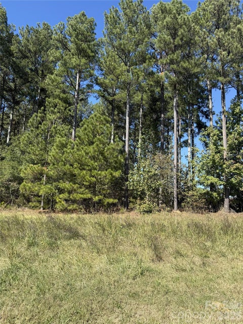 Photo of 0 Lancaster Highway, Waxhaw, NC 28173 (MLS # 4438094)