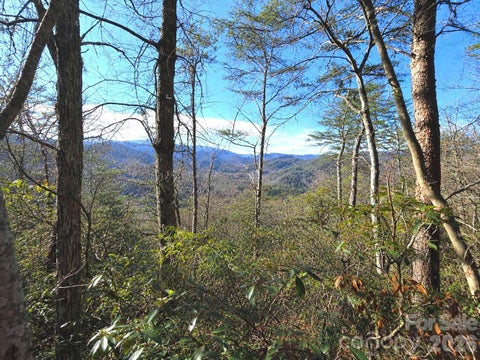 Photo of 81 Lucerne Drive, Canton, NC 28716 (MLS # 4392762)