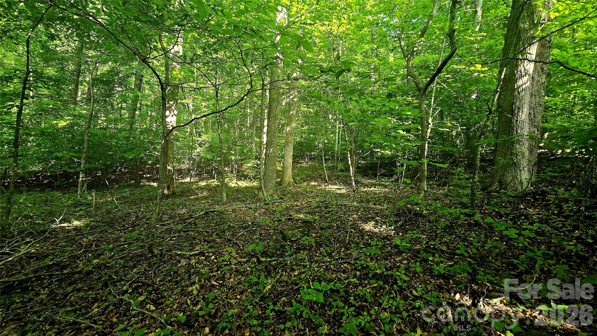 Lot 11 Elk Creek Mountain Parkway 11