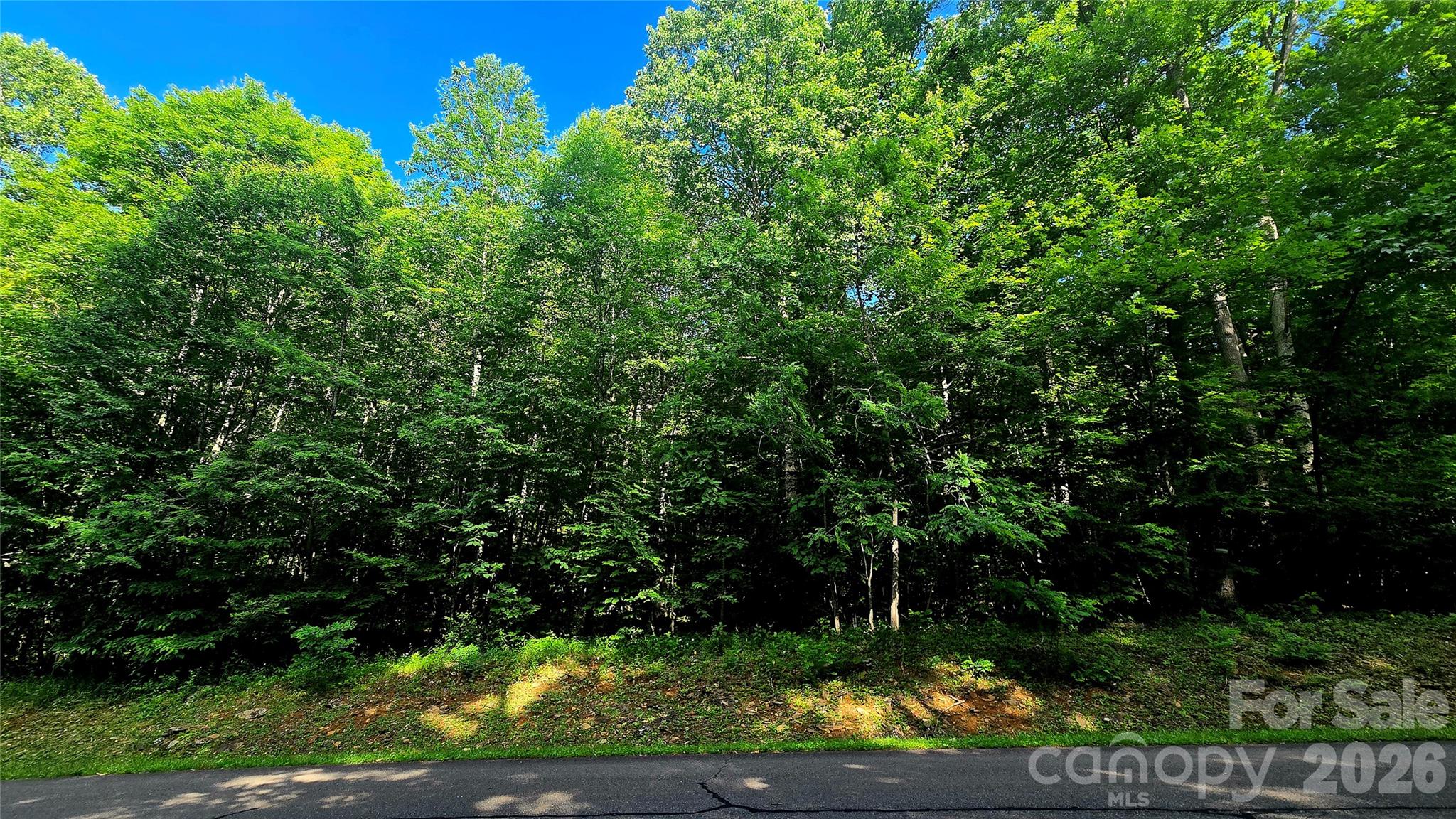 Lot 11 Elk Creek Mountain Parkway 11