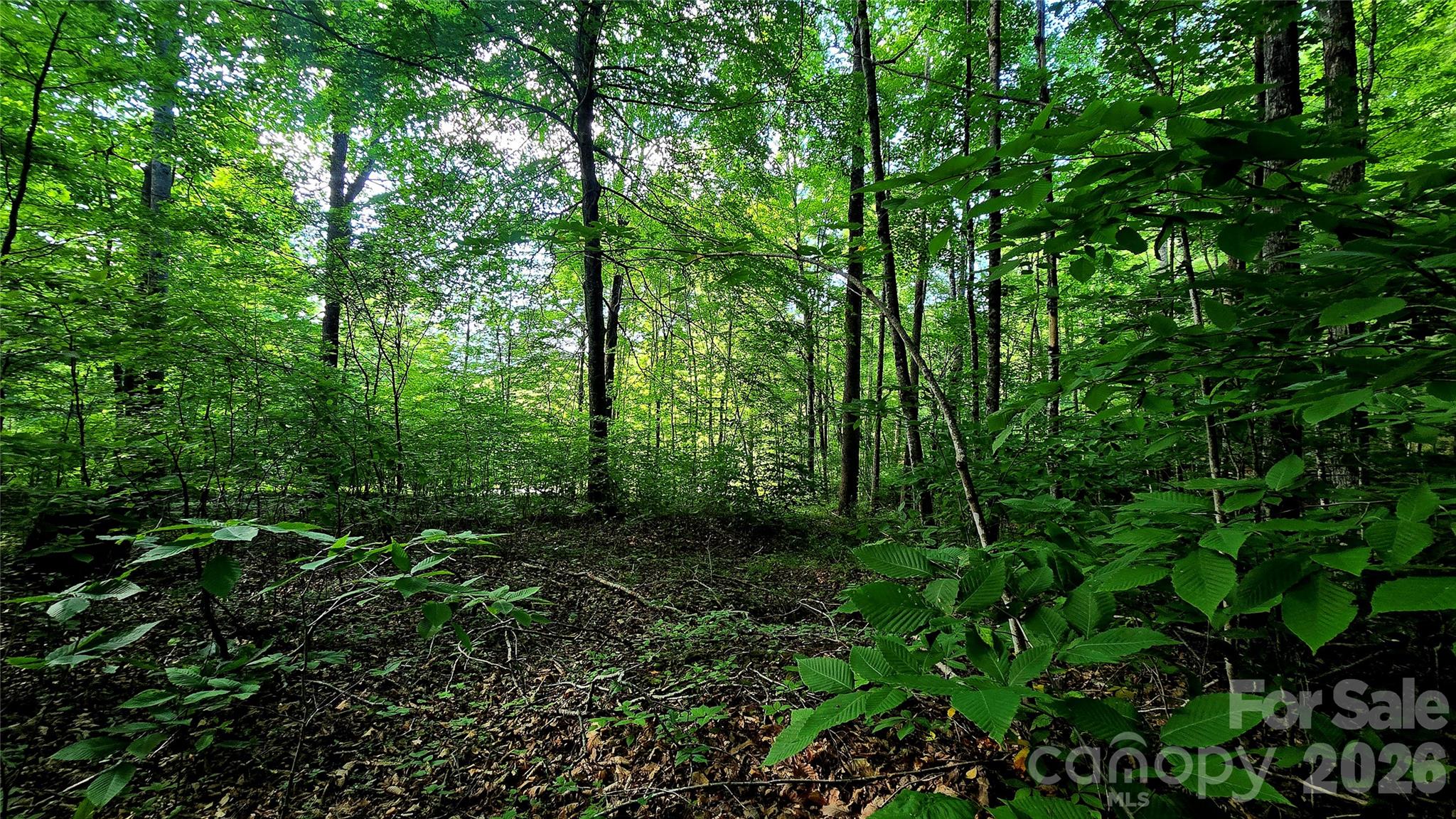 Lot 11 Elk Creek Mountain Parkway 11