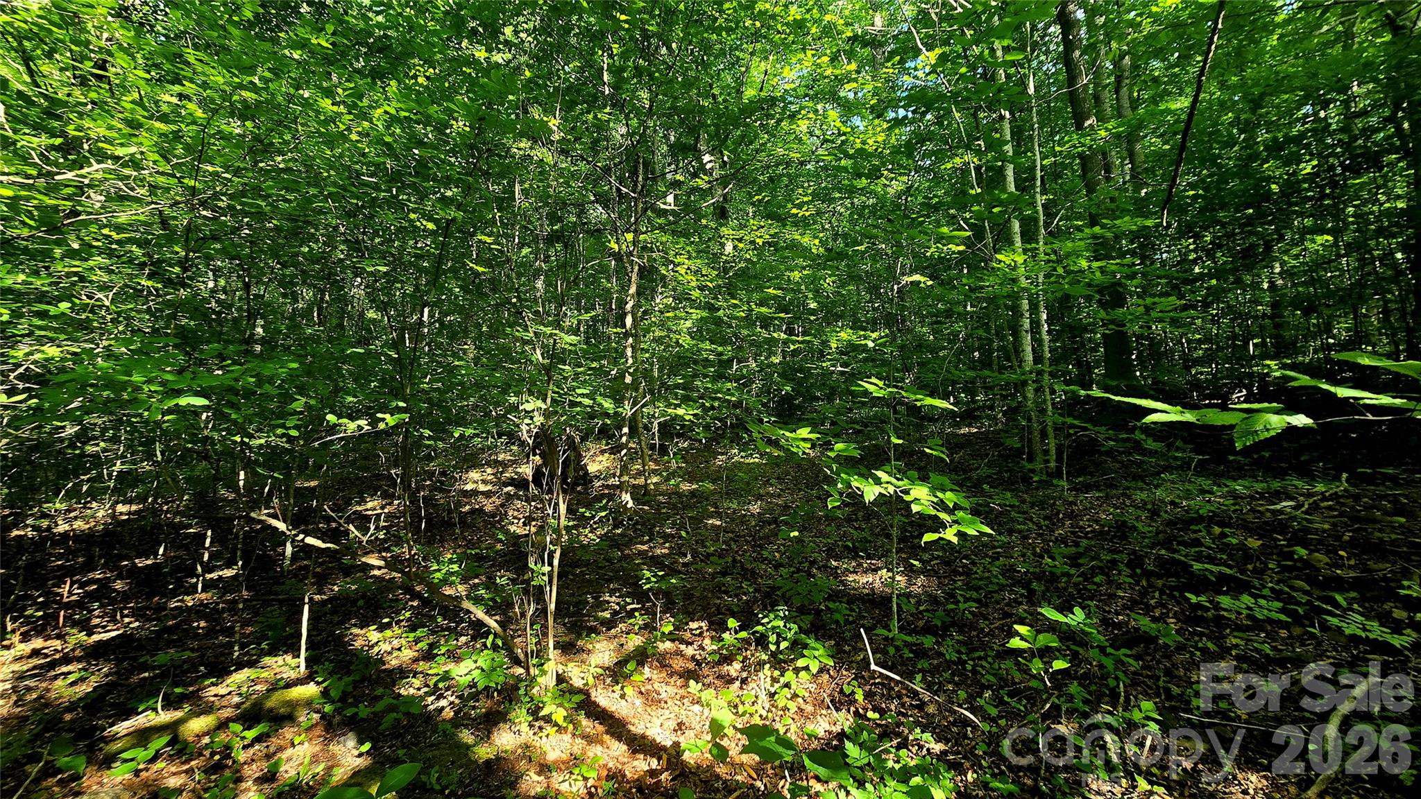 Lot 11 Elk Creek Mountain Parkway 11