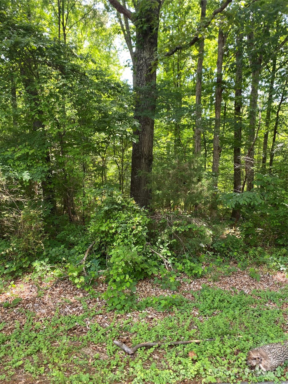 3200 Jonesberry Road