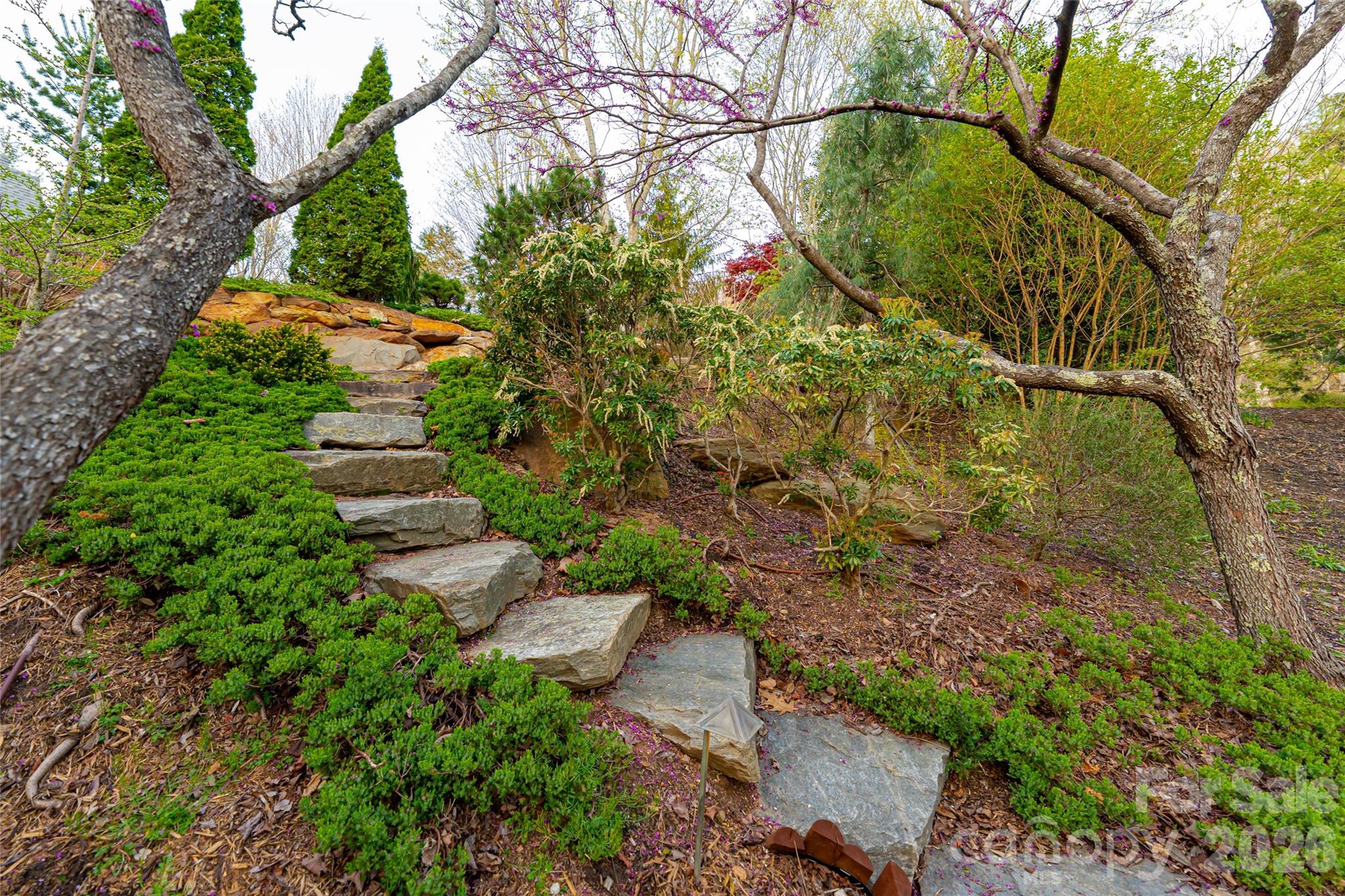 Reynolds Mountain - Residential