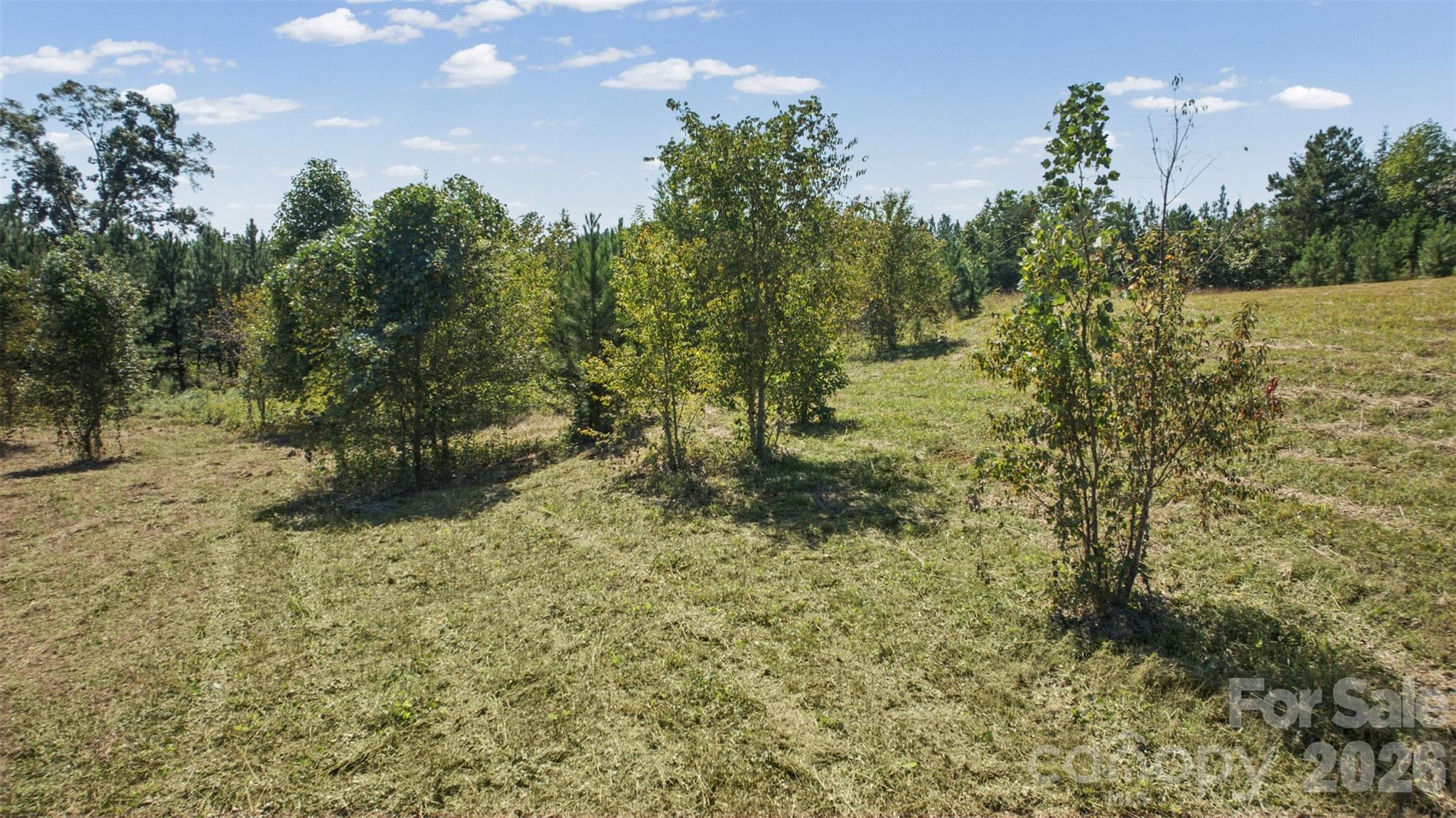 000 Pea Ridge Road