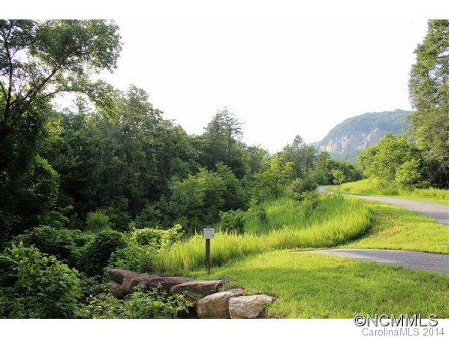 Adjacent to Chimney Rock State Park, Firefly Cove is the ideal location to retreat. Complete w/Community Lodge, Swimming Pool, Boathouse & Lakeside Dock for fishing/swimming/boating on Lake Lure. Underground Utilities. Paved road. Lot 47 is a gently sloping wooded lot offered at an incredible discount. Sold AS IS. No Warranties or representations, buyer to use due dil. verifying water,sewer,lot size,etc