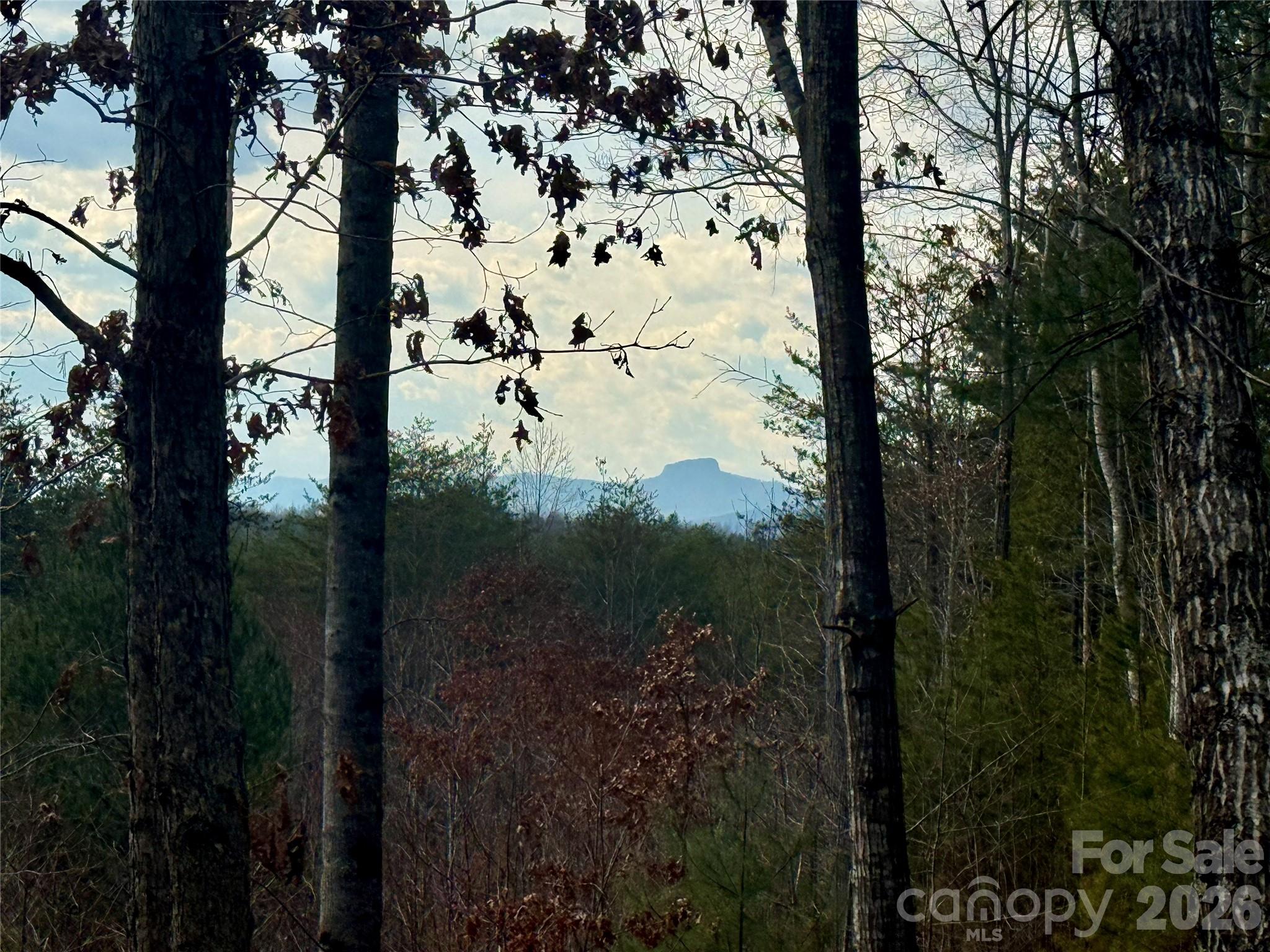 913 High Valley Way 913