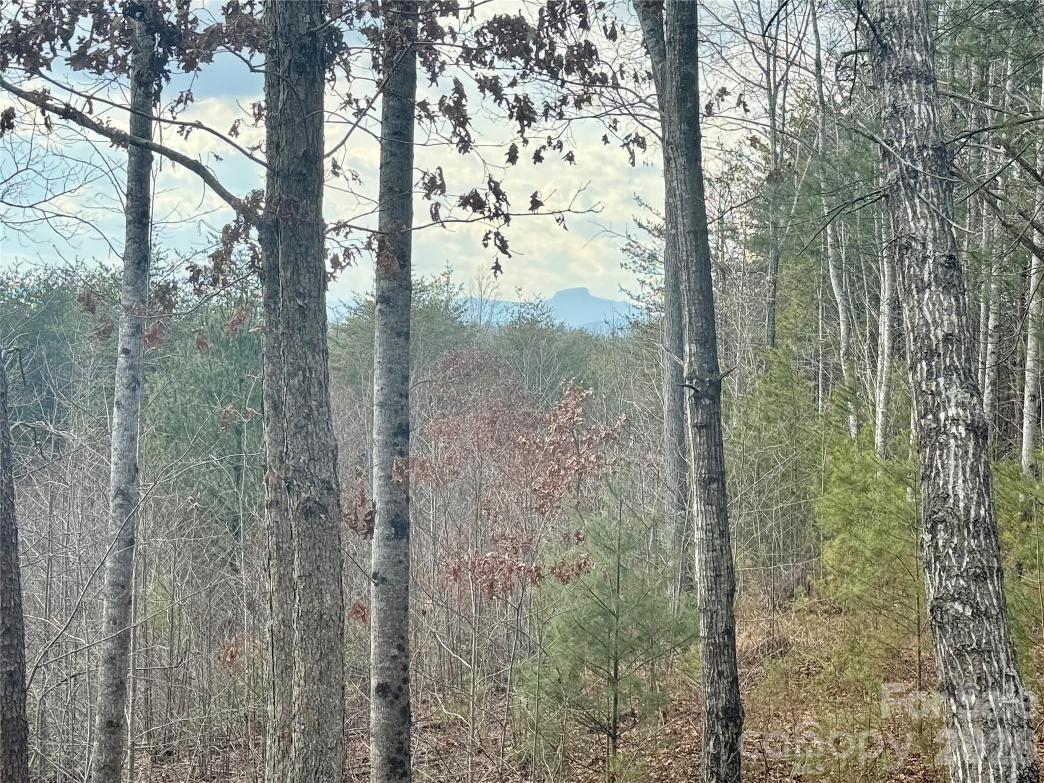 The Coves Mountain River Club - Land