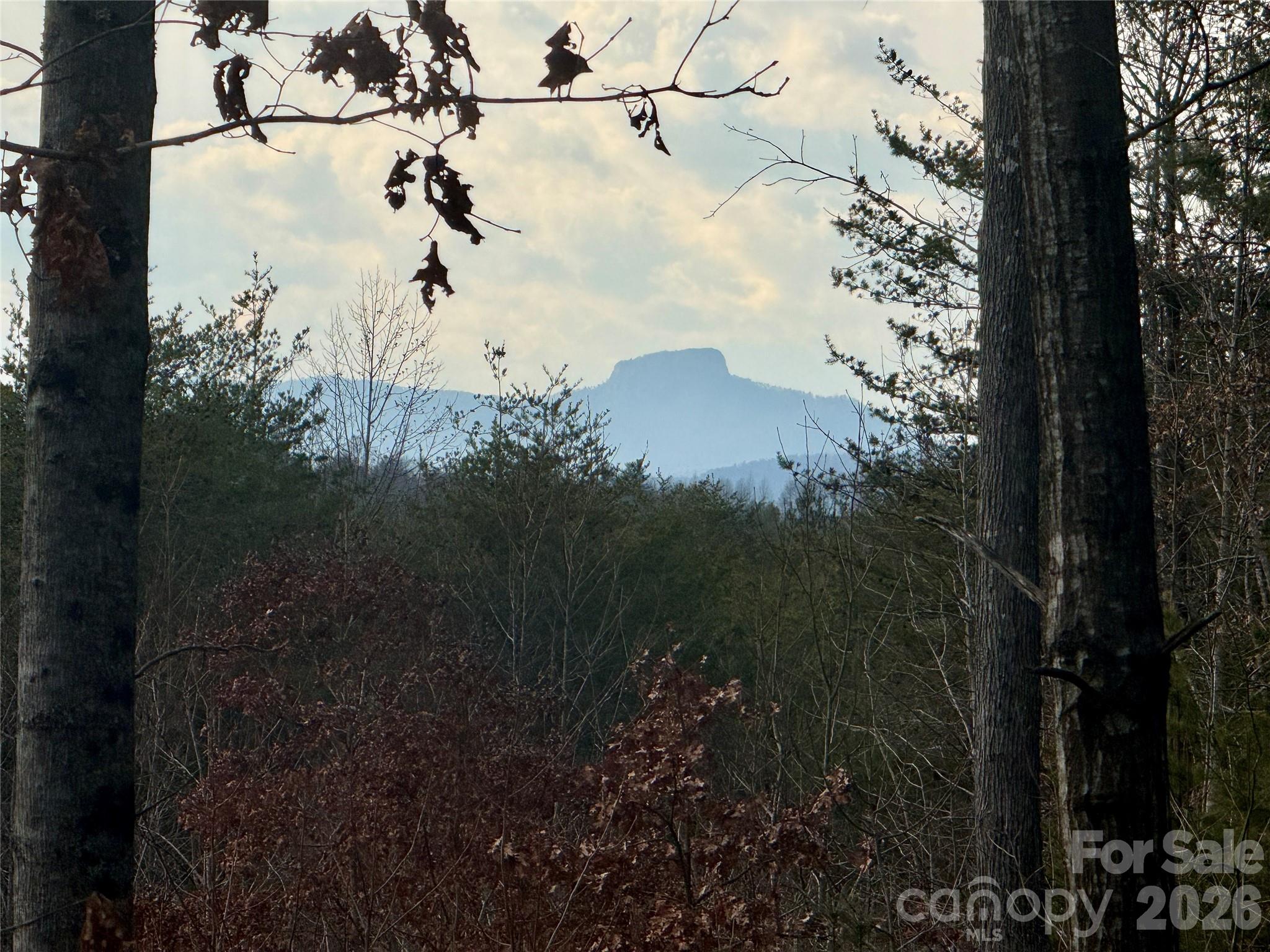 The Coves Mountain River Club - Land