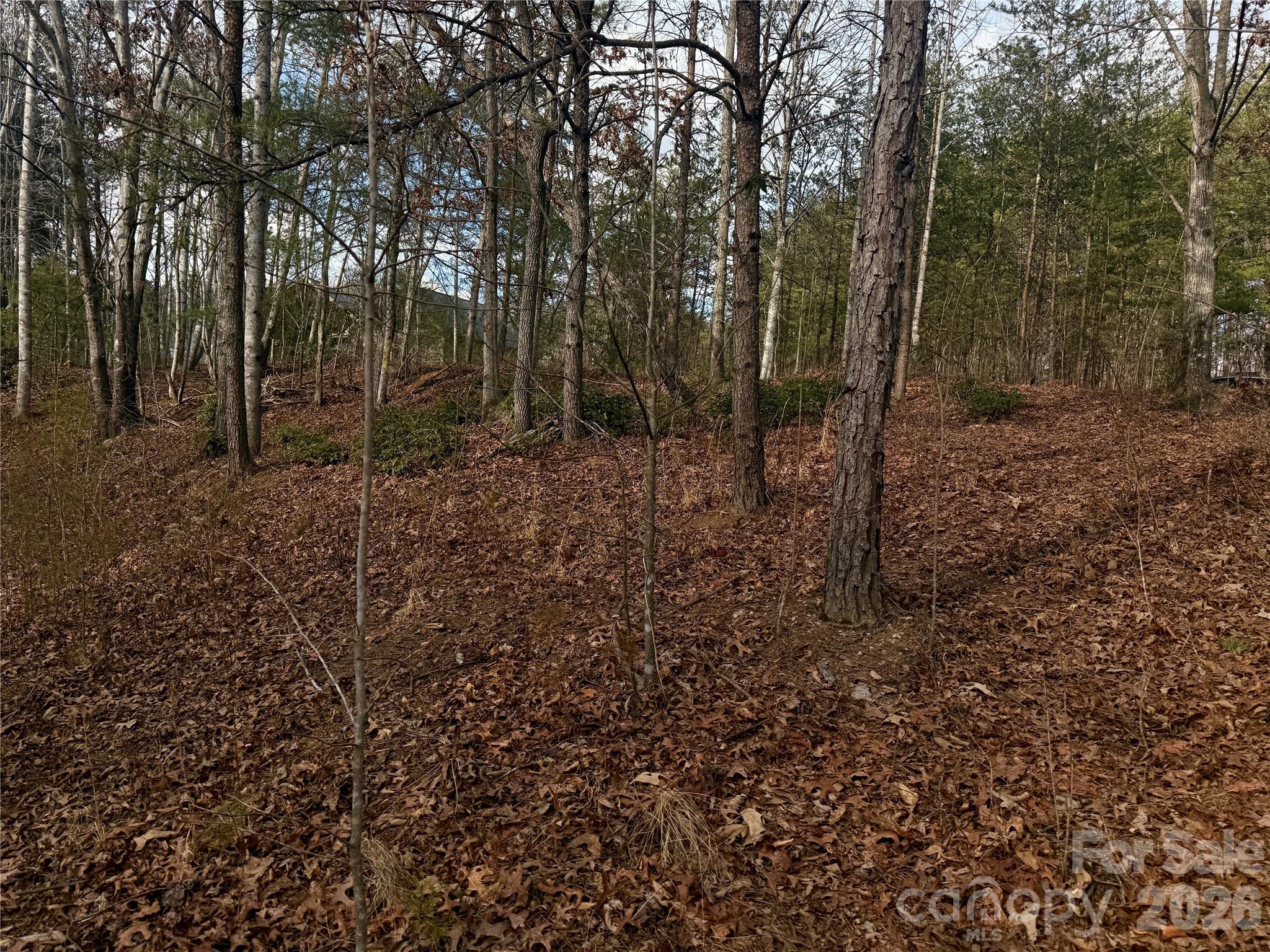 The Coves Mountain River Club - Land